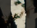 Akira Kosemura - Life Is Friendship