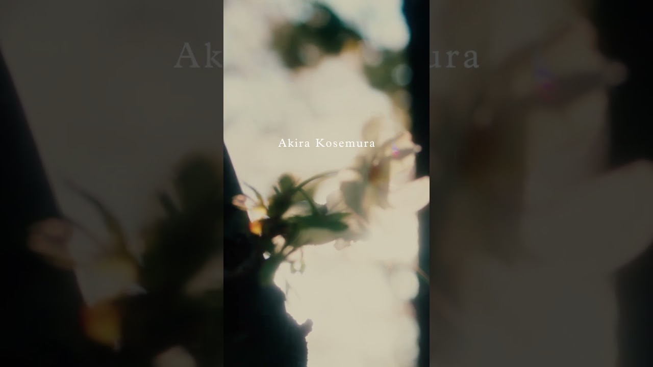 Akira Kosemura - Life Is Friendship