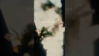 Akira Kosemura - Life Is Friendship