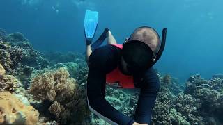 SNORKELING/SKIN DIVING Punta Diwata PHILIPPINES | GoPro Hero 7 Black by Nico Calo 120 views 4 years ago 2 minutes, 33 seconds