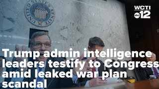 Trump admin intelligence leaders testify to Congress amid leaked war plan scandal Wealth