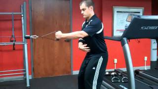 Dual Adjustable Pulley - Single Arm Row with Stabilization