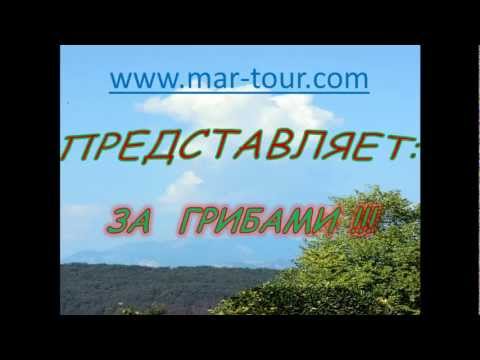 ЭКСКУРСИИ В ИСПАНИИ