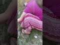 #song kaat paruli hariya ghasa #uttarakhand #nature #Yt shorts