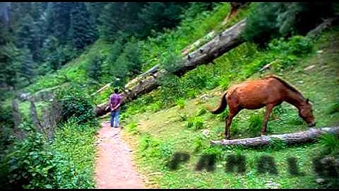 After Effects + Foundry Camera Tracker Test [Shaky Camera]