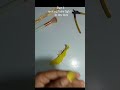 unique diy on youtube😮 no one uploaded yet ✨#fairylights #flipkart #diy #flowers #glowup