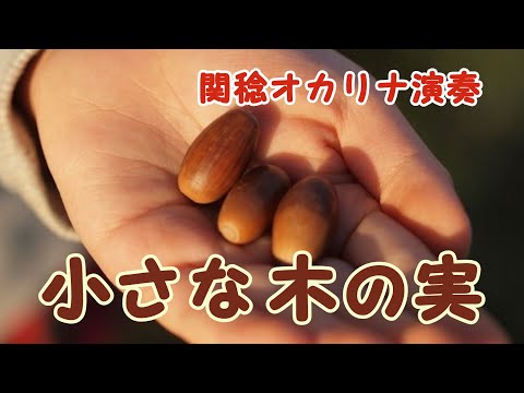 小さな木の実(オカリナ演奏)関稔
