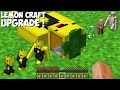 Why did i transform all mobs into lemon craft mobs in minecraft  incredible lemon craft upgrade 