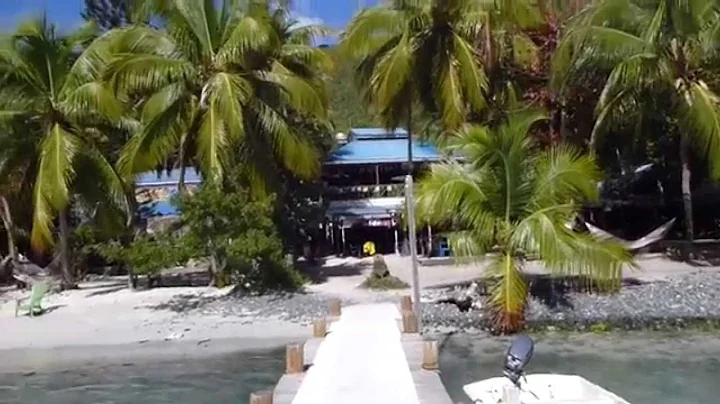 Exploring Foxy's - Jost Van Dyke, BVI