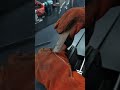 💥 Работаете с металлом? Занимаетесь сваркой?