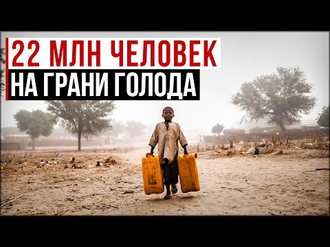 Засуха 2022 →
