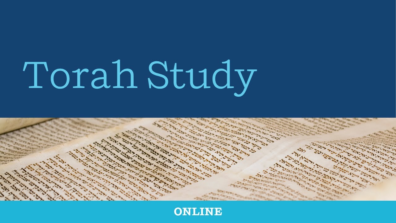 Torah Study