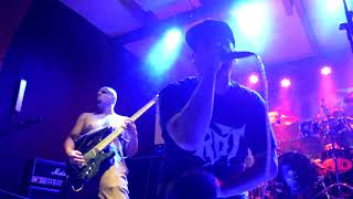 Rot - Rot In Hell