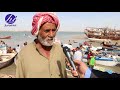 الصياد عيسى جاسم من قضاء الفاو يهدي الحياة عراق اغنية عن الفاو من ايام الزمن الجميل 