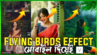 How to add flying birds effect in any status video | facebook status video editing with mobile 🔥🔥 screenshot 5