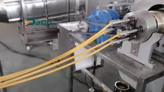 Sinlge color multi pieces dental pet treats extruding cutting processing line by Ivy Zhang 1,317 views 3 months ago 23 seconds