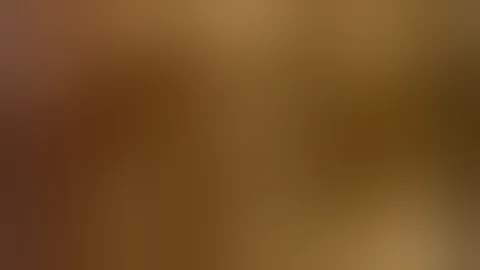 Paris Peace Conference - 1919