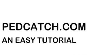 02 Pedestrian Catch Tutorial