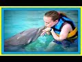 SWIMMING WITH DOLPHINS! | TURTLE FARM! | CAYMAN ISLANDS!