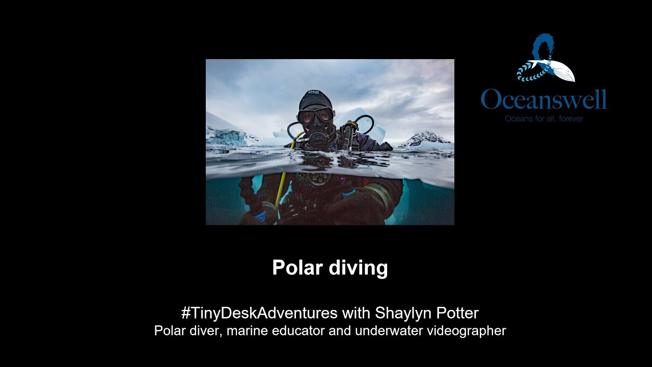 Tiny Desk Adventures: Polar diving with Shaylyn Potter