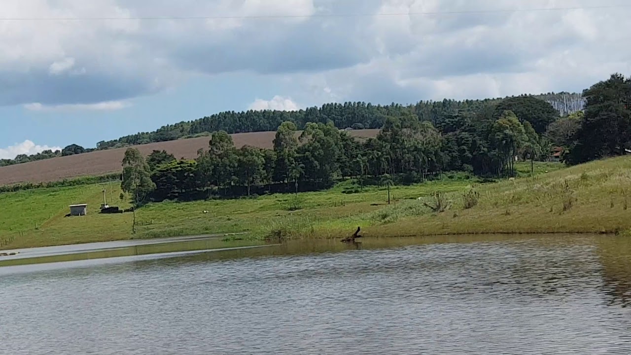 Iscas de fly para tucunares em furnas