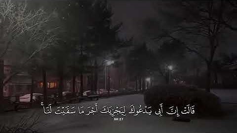جزء 2 | تلاوة هادئة آيات من سورة القصص بصوت جداً جميل  - محمد بو حسون ✨ .