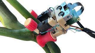 STEMbot: A Compliant Robot for Under-Canopy Plant Navigation | IROS 2026