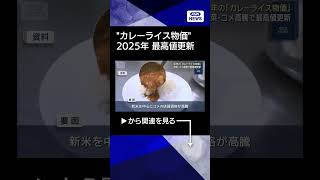 【ニュース】去年の「カレーライス物価」野菜・コメ高騰で最高値更新　2025年の平均349円 #shorts