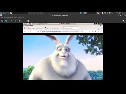 Installing TinyCore Linux on a QEMU/KVM Virtual Machine (Fedora 41) - tinychungus24