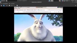 Installing TinyCore Linux on a QEMU/KVM Virtual Machine (Fedora 41) - tinychungus24