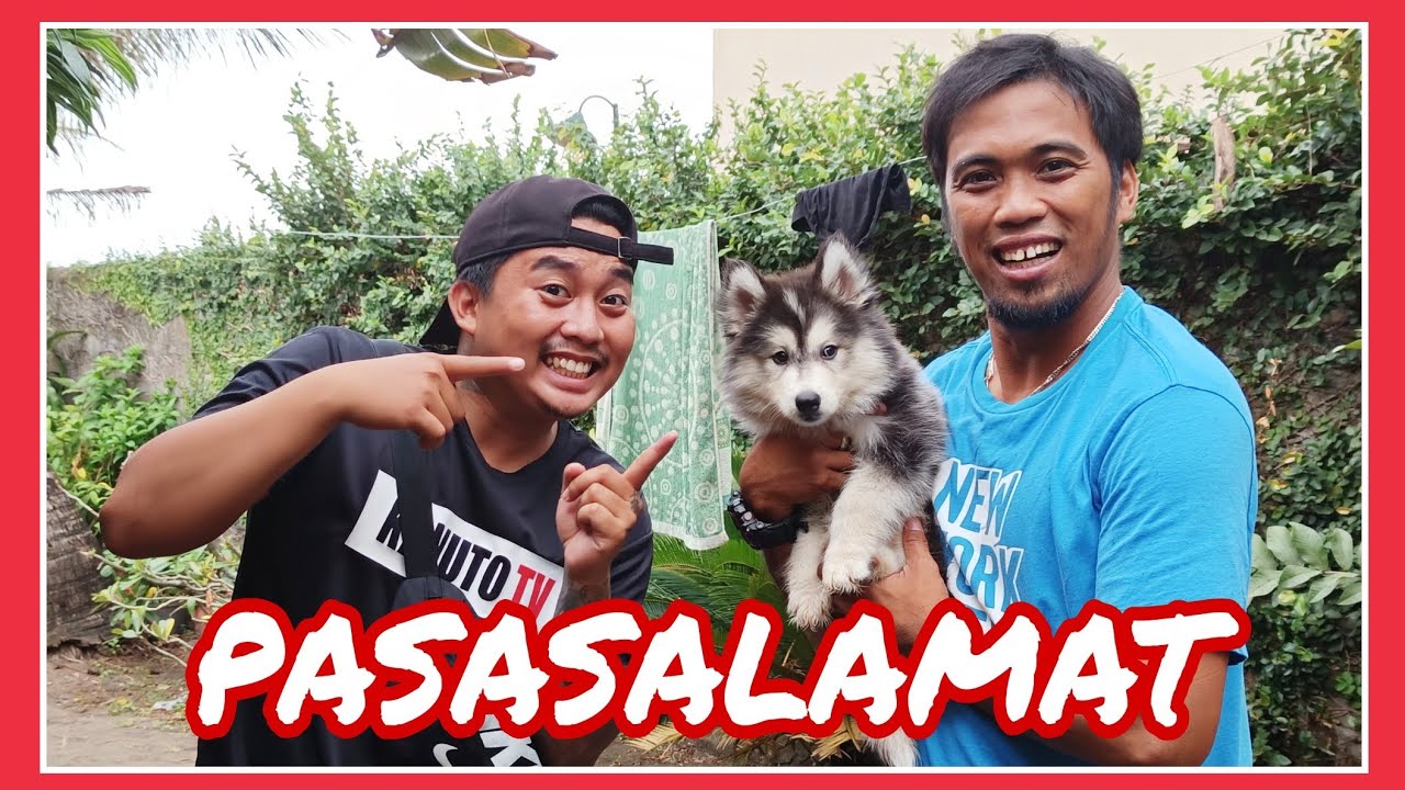 PASTY ANG BAGONG MIYEMBRO NG SOWEIRD FAMILY | JAPER SNIPER | SIBERIAN HUSKY | UNANG SAHOD | VLOG# 95