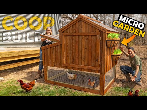 Backyard Chicken Coop Build | How To | DIY | MICRO GARDEN