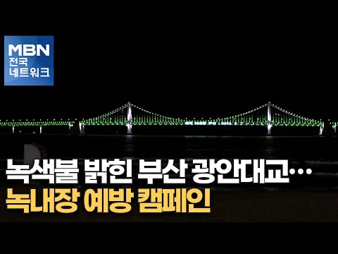 녹색불 밝힌 부산 광안대교…<strong>녹내장</strong> <strong>예방</strong> 캠페인 [전국네트워크]