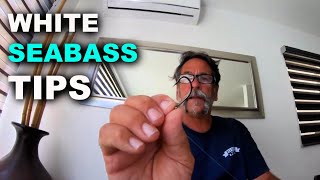 How to Catch White SeaBass