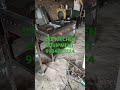 commercial gas Bhatti manufacturer