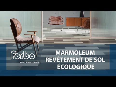 Vidéo: 10 solutions de revêtements de sol écologiques les plus populaires