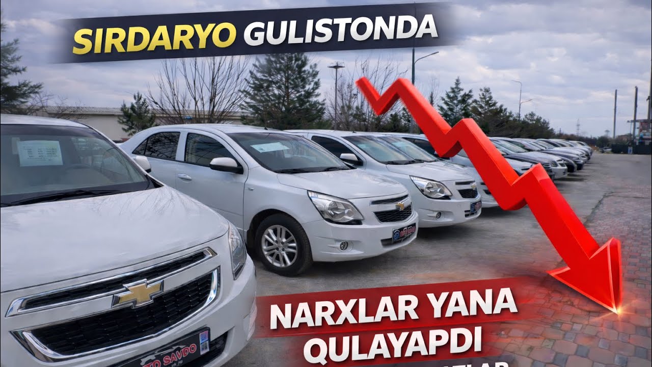  🔥 Sirdaryo Gulistonda Jentra va Kobolt narxlari yana qulayapdi! 😱 26 февраля 2026 г.