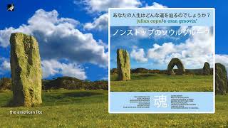 The  American Lite by Julian Cope