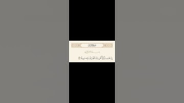 #سورة_الإنسان (٢٩) Surah Al-Insan (29)