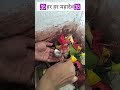 #trending #shiv #shiv #trending #mhadev #mhakal #shivshankar #viral #shorts
