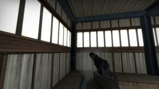 #wallbang#usp