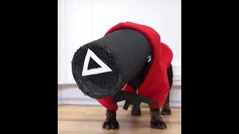 Memes that I Saved for Later #funny #meme