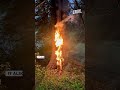 Los Angeles County DA Releases Video Of ‘Looting And Arson’ Amid Raging Wildfires | California