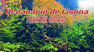 TOP 1 Akvárium v Evropě? Mistrovský kousek Takashi Amano a Oceanárium Lisabon
