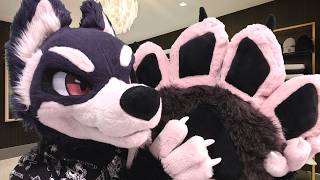 Furry ASMR ✨🐾 Max's Paw Spa Experience 🐾 ✨ (soft-spoken, roleplay)