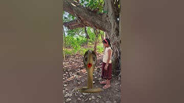 ichchadhari Nagin brother and sister ki kahani 🐍#shorts #emotional #nagin #snake #viral