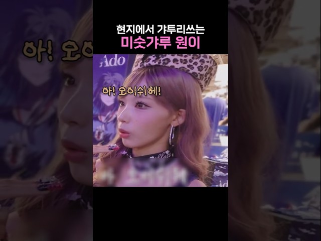 현지에서 갸투리쓰는 미숫갸루 원이