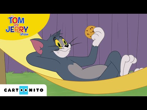 TOM VE JERRY | Bir Dilek Tut | Cartoonito Türkiye 🇹🇷