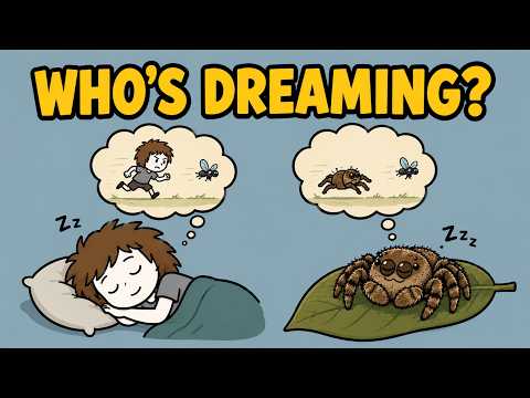 Do Animals Dream?