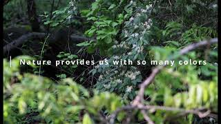 ART280 Photography Final Project Net Worth